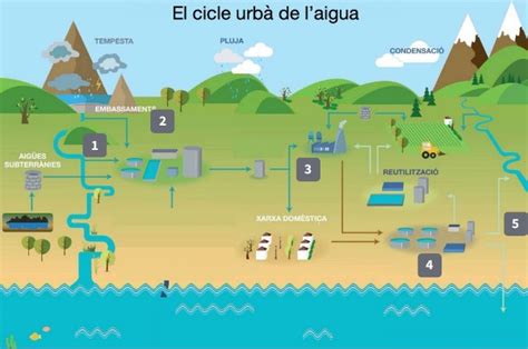 El Cicle Urb De L Aigua