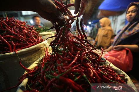 Bps Kenaikan Harga Cabai Dongkrak Inflasi Januari Antara News