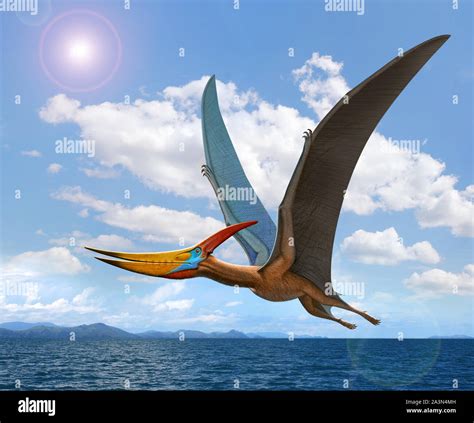 Pteranodon flying over the sea Stock Photo - Alamy