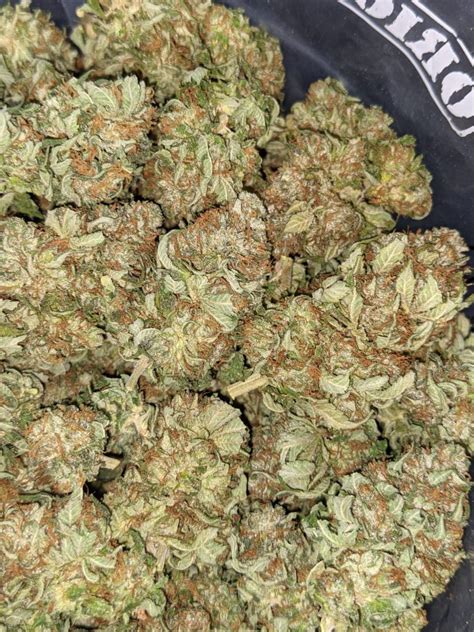 Buy Original Og Kush Online Cheap Weed