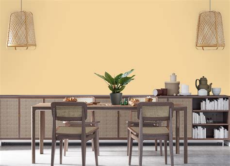 Ivory Colour Paint Combination