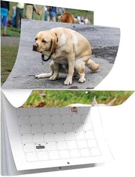 Calendrier Mois Caca Chiens Calendrier Chien Caca