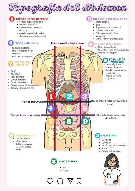 Topograf A Abdominal Angela Linares Chumbile Udocz Nurse