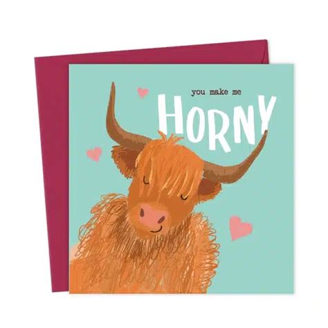 Highland Cow You Make Me Horny Cheeky Anniversary Card You Said It