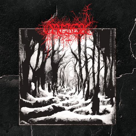Streaming Intégral Du Nouvel Album De ÓreiÐa