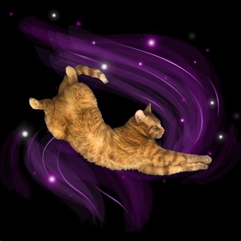 Stream TIGHT PUSSY MAGIC ANTHEM By Remiclout Listen Online For Free On SoundCloud