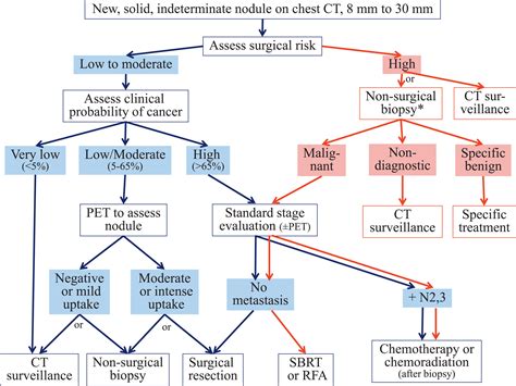 Evaluation Of Individuals With Pulmonary Nodules When Is It Lung Cancer Chest