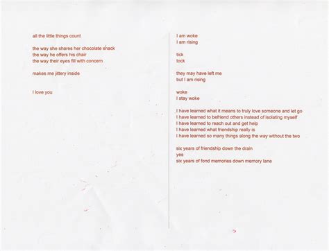 After the Storm: When Flowers Bloom – Sunset Media Wave