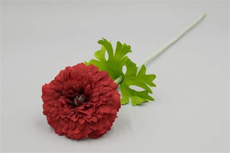 Одиночная цинния "Лия" купить в ростове на дону оптом