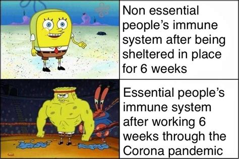 Facts From Bikini Bottom R SpongebobMemes