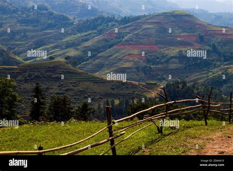 Mu Cang Chai Landscape Terraced Rice Field Near Sapa North Vietnam