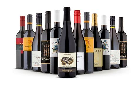 Autumn Essentials Red Case Naked Wines