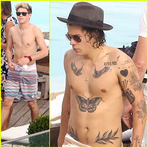 Harry Styles Shirtless Mag And Vidcaps Naked Male Celebrities