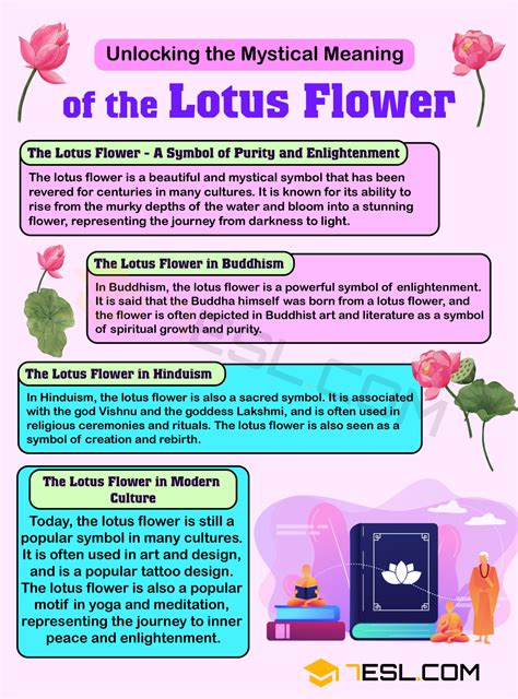 Lotus Flower Meaning: What Does it Mean? • 7ESL