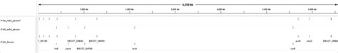 Frontiers Comparative Genomics And Dna Methylation Analysis Of Pseudomonas Aeruginosa Clinical