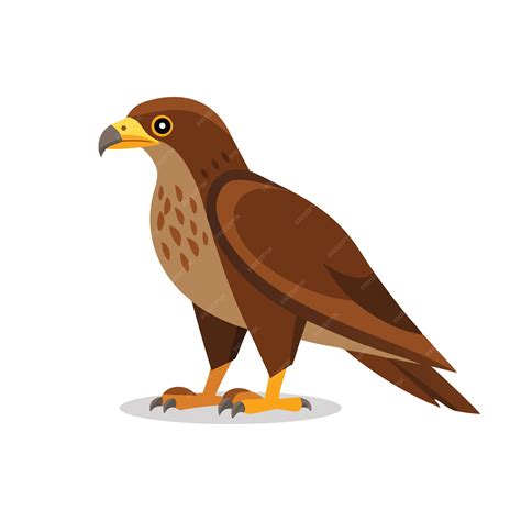 Buzzard Hawk Animal Isolated Flat Vector Illustration On White