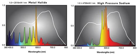 Metal Halide Vs Led Grow Lights Shelly Lighting