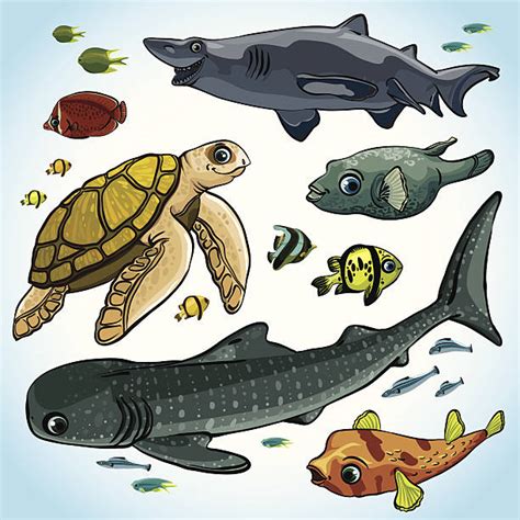 80 Ikan Remora Ilustrasi Grafik Vektor And Clip Art Bebas Royalti Terbaik Istock