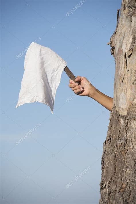 Hand with white flag as symbol for peace and resignation Stock Photo by ...