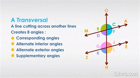 Transversal In Geometry Meaning Angles Made By The Transversal Example Atelier Yuwa Ciao Jp