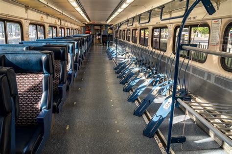 dogs allowed  marc train