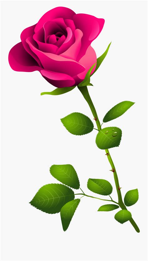 top  pink rose clip art pink rose  stem  transparent