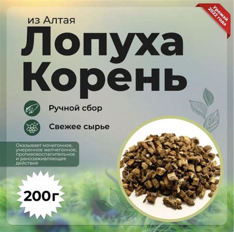 Корень лопуха (резаный), репейник, 200 гр. - купить с доставкой по ...