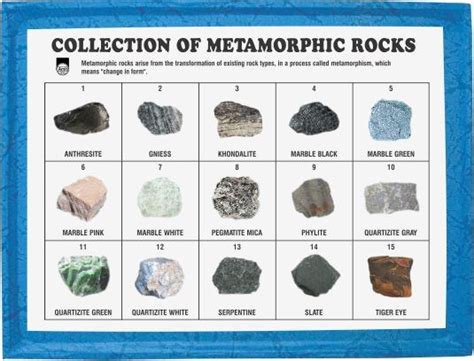 Pictures Of Sedimentary Rocks And Their Names Steelbertyl
