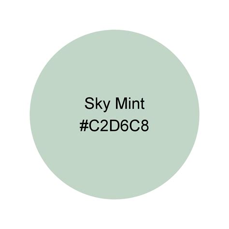 Sky Mint · Theme