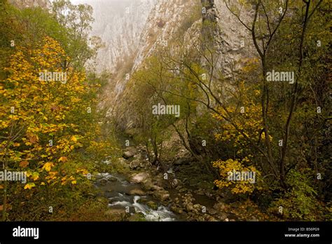 Romania Gorge Hi Res Stock Photography And Images Alamy