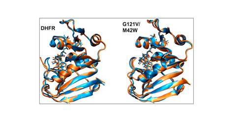 Connecting Protein Conformational Dynamics With Catalytic Function As