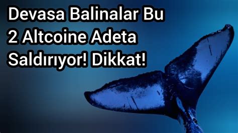 Devasa Balinalar Bu Altcoine Adeta Sald R Yor Dikkat Kripto Haber