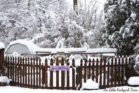 The Little Backyard Farm: Snowstorm at The Little Backyard Farm