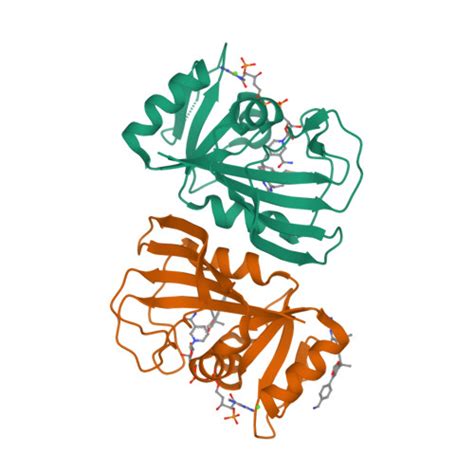 RCSB PDB 7RGJ DfrA1 Complexed With NADPH And 5 3 7 4 Aminomethyl