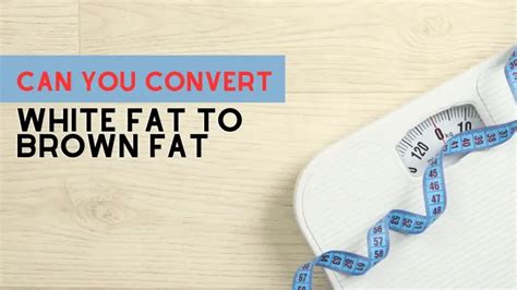 Can You Convert White Fat to Brown Fat? 3 Proven Ways