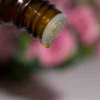 Масло Aroma-zone Папайи Huile végétale de Papaye | отзывы