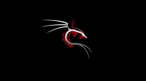 1366x768 Kali Linux 4k Laptop HD ,HD 4k Wallpapers,Images,Backgrounds,Photos and Pictures