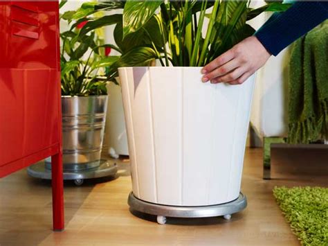 Автополив для комнатных растений: горшки и кашпо с автополивом