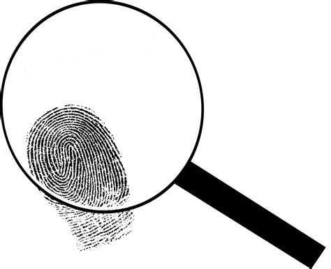 Magnifying Glass Detective Png Transparent Magnifying Glass Detective