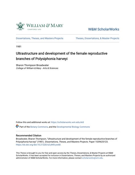 Ultrastructure And Development Of The Female Reproductive Branches Of Polysiphonia Harveyi Docslib