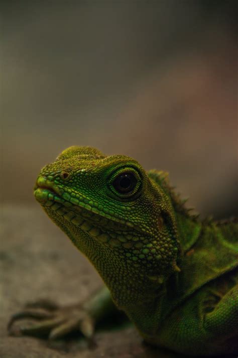 Scaled colors - canon D90 : r/AmateurPhotography