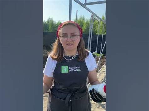 Быстрая подкормка азотом! - YouTube