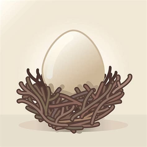 140 Animal Nest Nest Egg Computer Icon Symbol Stock Illustrations