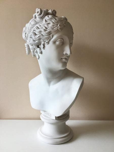 Venus Bust Sculpture Goddess Of Love Large For Sale The Ancient