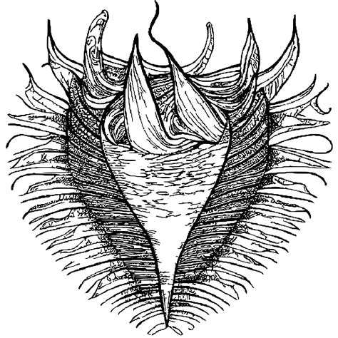 Vagina Coloring Page Creative Fabrica