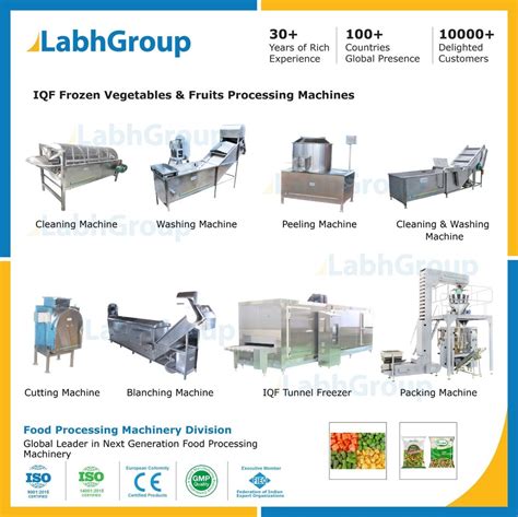 Iqf Frozen Vegetables Fruits Processing Line Machinery For