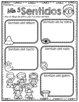 Mis Cinco Sentidos Actividades My Five Senses In Spanish By Learning