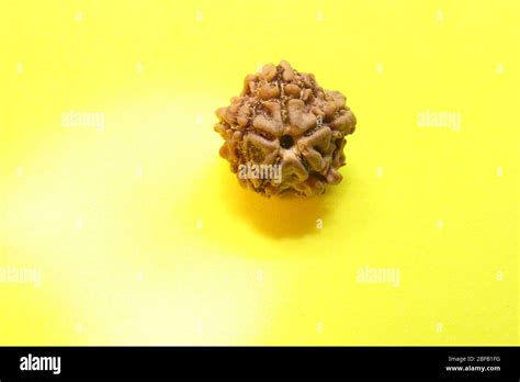 Nepali Seeds For Indians Stock Photo Alamy