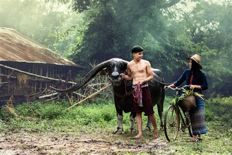 Farmer Lifestyle on the Countryside Stock Image - Image of relationship ...