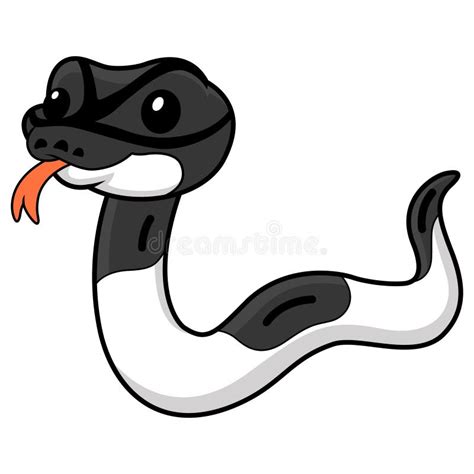 Cute Panda Pied Ball Python Cartoon Stock Vector Illustration Of